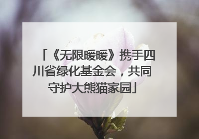 《无限暖暖》携手四川省绿化基金会，共同守护大熊猫家园