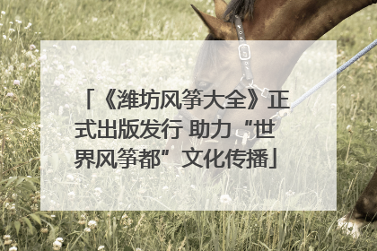 《潍坊风筝大全》正式出版发行 助力“世界风筝都”文化传播