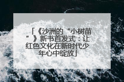 《沙洲的“小树苗”》新书首发式：让红色文化在新时代少年心中绽放