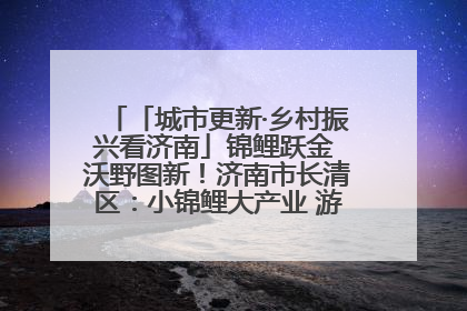 「城市更新·乡村振兴看济南」锦鲤跃金 沃野图新！济南市长清区：小锦鲤大产业 游出农旅新风景