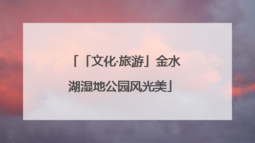 「文化·旅游」金水湖湿地公园风光美