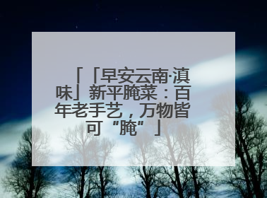 「早安云南·滇味」新平腌菜：百年老手艺，万物皆可“腌”