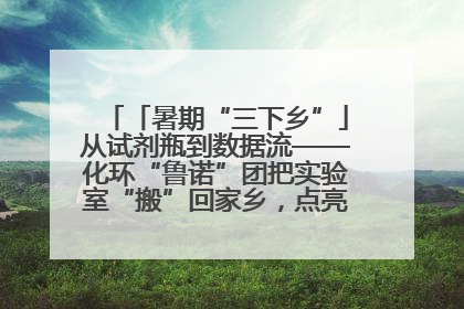 「暑期“三下乡”」从试剂瓶到数据流——化环“鲁诺”团把实验室“搬”回家乡，点亮桑梓求知路