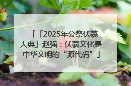 「2025年公祭伏羲大典」赵强：伏羲文化是中华文明的“源代码”