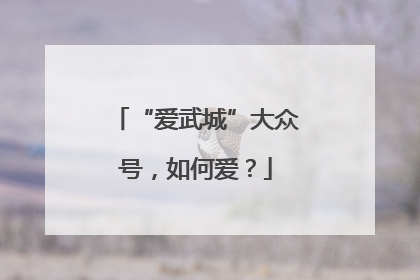 “爱武城”大众号，如何爱？