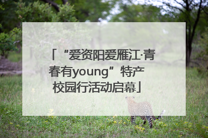 “爱资阳爱雁江·青春有young”特产校园行活动启幕