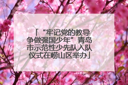 “牢记党的教导 争做强国少年”青岛市示范性少先队入队仪式在崂山区举办