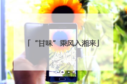 “甘味”乘风入湘来