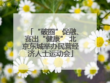 “破圈”促融、赛出“健康” 北京东城举办民营经济人士运动会