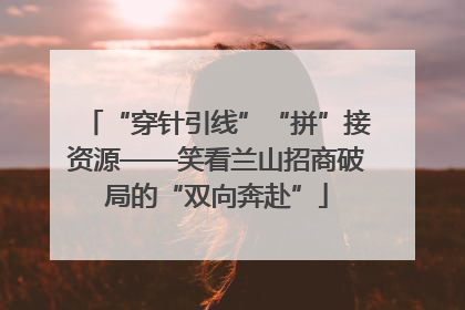 “穿针引线”“拼”接资源——笑看兰山招商破局的“双向奔赴”