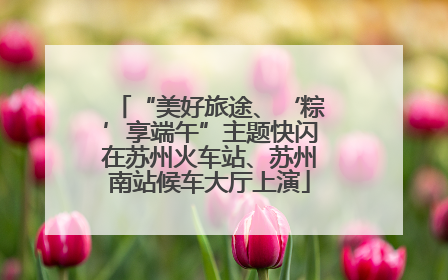 “美好旅途、‘粽’享端午”主题快闪在苏州火车站、苏州南站候车大厅上演