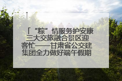 “粽”情服务护安康 三大交旅融合景区迎客忙——甘肃省公交建集团全力做好端午假期景区运营工作