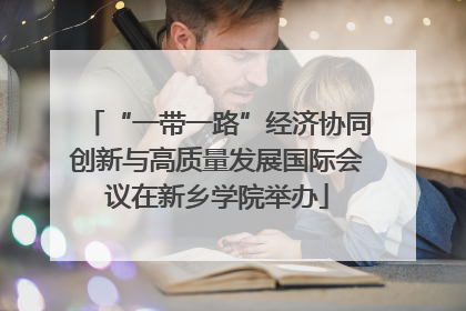 “一带一路”经济协同创新与高质量发展国际会议在新乡学院举办