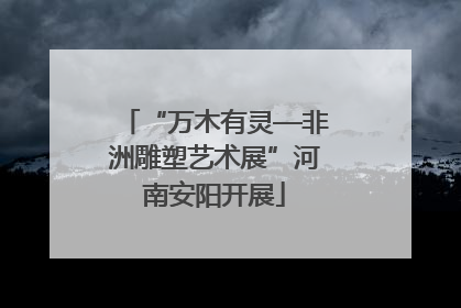 “万木有灵—非洲雕塑艺术展”河南安阳开展
