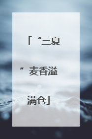 “三夏”麦香溢满仓