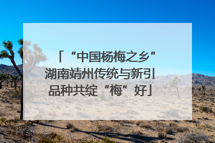 “中国杨梅之乡”湖南靖州传统与新引品种共绽“梅”好