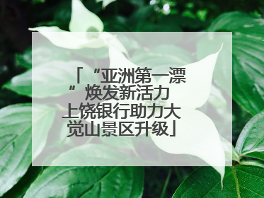 “亚洲第一漂”焕发新活力 上饶银行助力大觉山景区升级