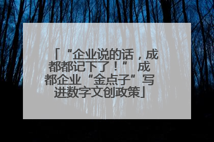 “企业说的话，成都都记下了！” 成都企业“金点子”写进数字文创政策