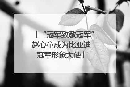 “冠军致敬冠军” 赵心童成为比亚迪冠军形象大使