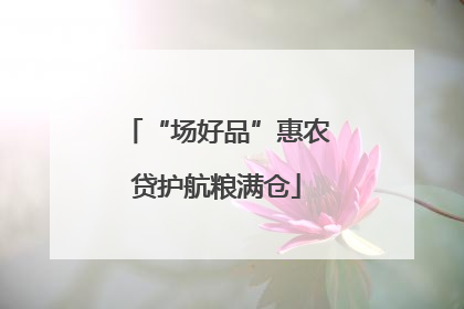 “场好品”惠农贷护航粮满仓
