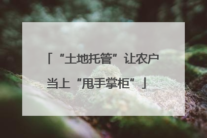 “土地托管”让农户当上“甩手掌柜”