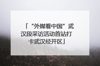 “外媒看中国”武汉段采访活动首站打卡武汉经开区