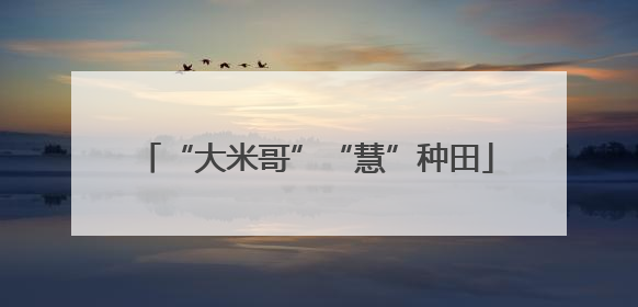 “大米哥”“慧”种田