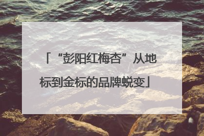 “彭阳红梅杏”从地标到金标的品牌蜕变