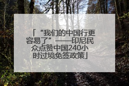“我们的中国行更容易了”——印尼民众点赞中国240小时过境免签政策