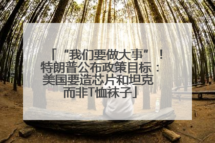 “我们要做大事”！特朗普公布政策目标：美国要造芯片和坦克 而非T恤袜子