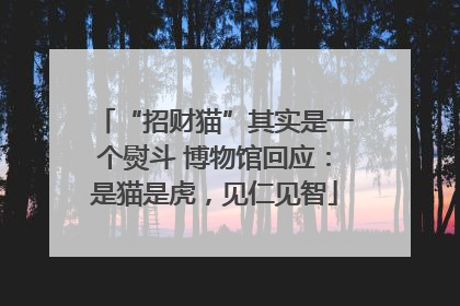 “招财猫”其实是一个熨斗 博物馆回应：是猫是虎，见仁见智