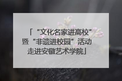 “文化名家进高校”暨“非遗进校园”活动走进安徽艺术学院