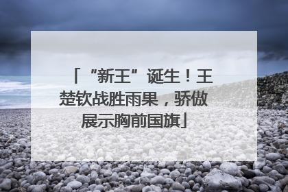“新王”诞生！王楚钦战胜雨果，骄傲展示胸前国旗