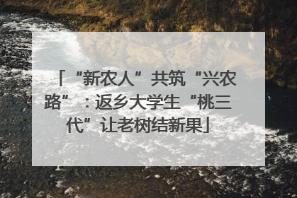 “新农人”共筑“兴农路”：返乡大学生“桃三代”让老树结新果