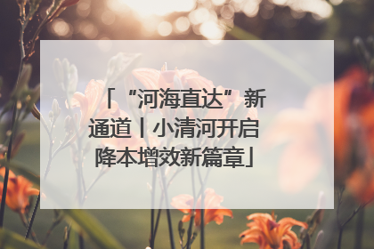“河海直达”新通道丨小清河开启降本增效新篇章