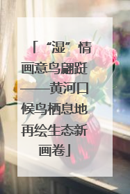 “湿”情画意鸟翩跹——黄河口候鸟栖息地再绘生态新画卷