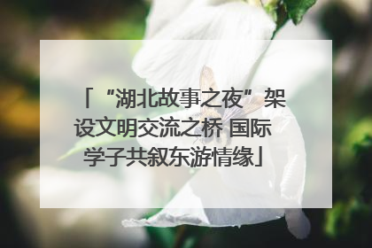 “湖北故事之夜”架设文明交流之桥 国际学子共叙东游情缘