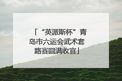 “英派斯杯”青岛市六运会武术套路赛圆满收官