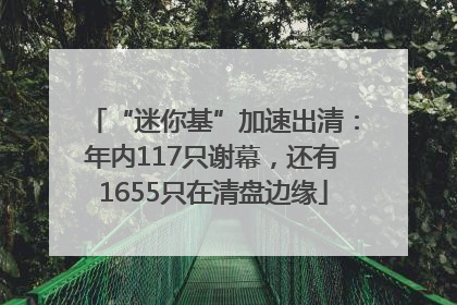 “迷你基”加速出清：年内117只谢幕，还有1655只在清盘边缘