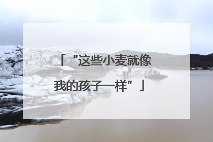 “这些小麦就像我的孩子一样”