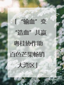 “输血”变“造血”共赢 粤桂协作助百色芒果畅销大湾区
