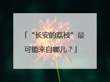 “长安的荔枝”最可能来自哪儿？