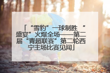 “雪豹”一球制胜 “盛宴”火爆全场——第二届“青超联赛”第二轮西宁主场比赛见闻