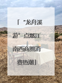“龙舟溪游”点燃江南西商圈消费热潮