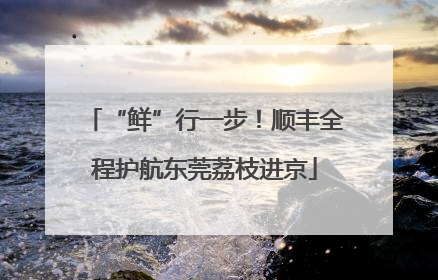 “鲜”行一步！顺丰全程护航东莞荔枝进京