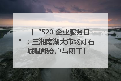 “520 企业服务日”：三湘南湖大市场灯石城赋能商户与职工