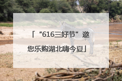 “616三好节”邀您乐购湖北嗨今夏