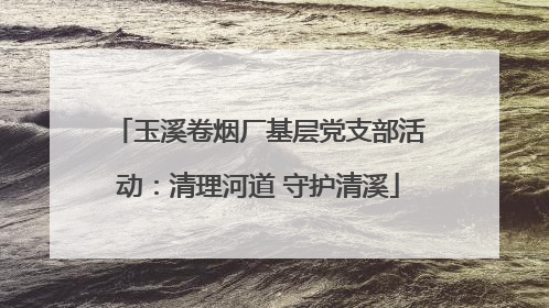 玉溪卷烟厂基层党支部活动：清理河道 守护清溪