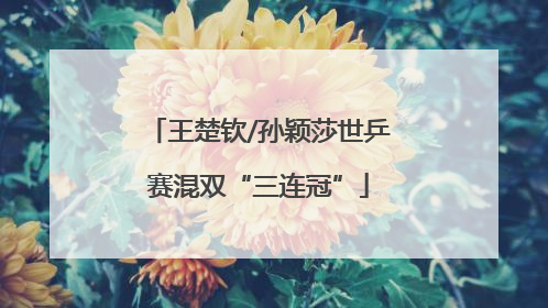 王楚钦/孙颖莎世乒赛混双“三连冠”