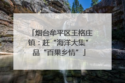 烟台牟平区王格庄镇：赶“海洋大集” 品“百果乡情”